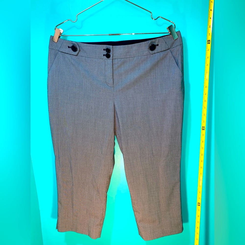 The Limited - Dress Capris - Size 14